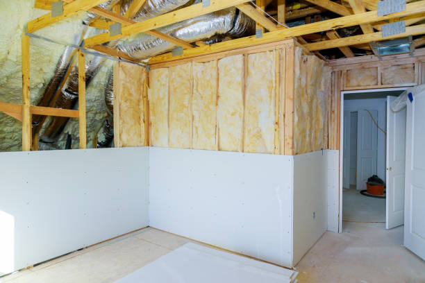 Best Eco-Friendly Insulation in Mason Neck, VA