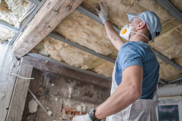 Best Fiberglass Insulation in Mason Neck, VA