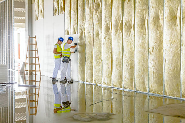 Best Geographic-Specific Insulation Services in Mason Neck, VA